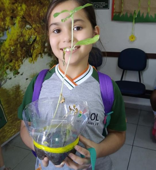 2019 - Estudo sobre a reprodução das plantas