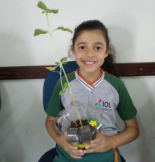 2019 - Estudo sobre a reprodução das plantas — foto 2
