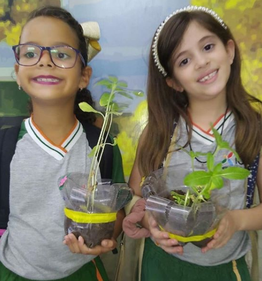 2019 - Estudo sobre a reprodução das plantas — foto 3