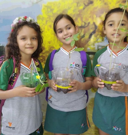 2019 - Estudo sobre a reprodução das plantas — foto 6