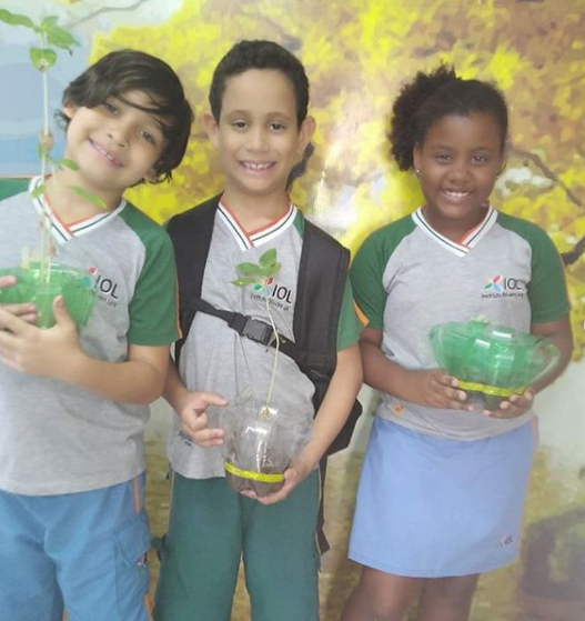 2019 - Estudo sobre a reprodução das plantas — foto 7