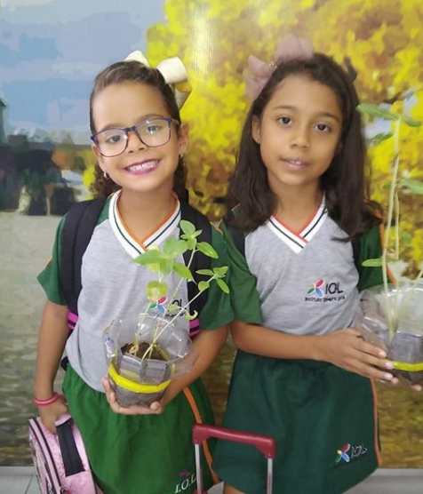 2019 - Estudo sobre a reprodução das plantas — foto 8