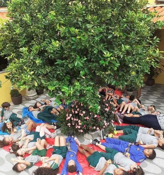 2020 - Projeto Roda de frutas