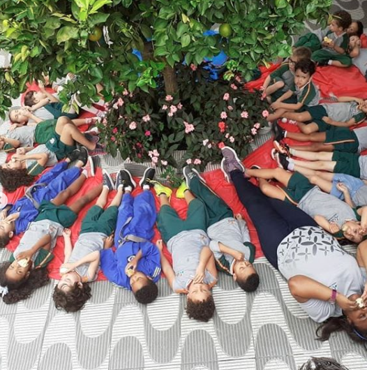 2020 - Projeto Roda de frutas — foto 2