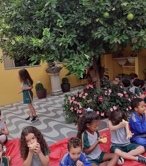 2020 - Projeto Roda de frutas — foto 3
