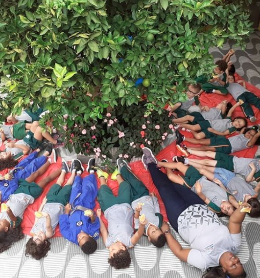 2020 - Projeto Roda de frutas — foto 4