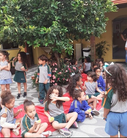 2020 - Projeto Roda de frutas — foto 5