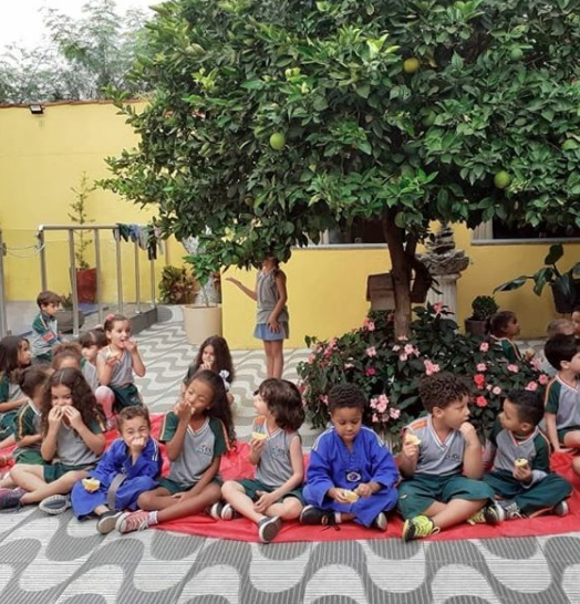 2020 - Projeto Roda de frutas — foto 6
