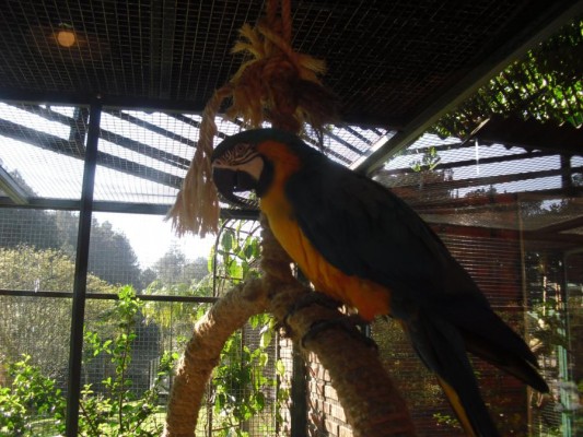 2012 - Fazenda Vale Verde — foto 2