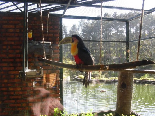2012 - Fazenda Vale Verde — foto 6