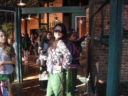 2012 - Fazenda Vale Verde — foto 13