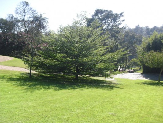 2012 - Fazenda Vale Verde — foto 16