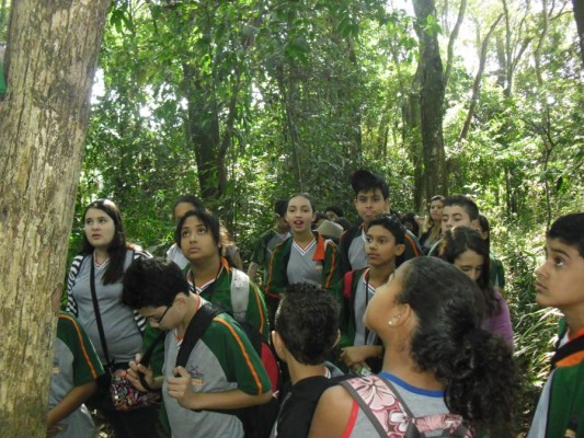2012 - Fazenda Vale Verde — foto 19