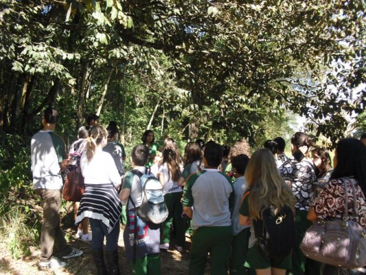 2012 - Fazenda Vale Verde — foto 20