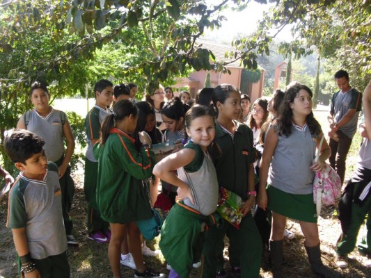 2012 - Fazenda Vale Verde — foto 21