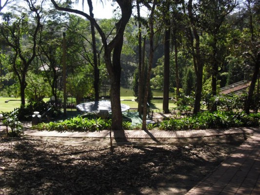 2012 - Fazenda Vale Verde — foto 25