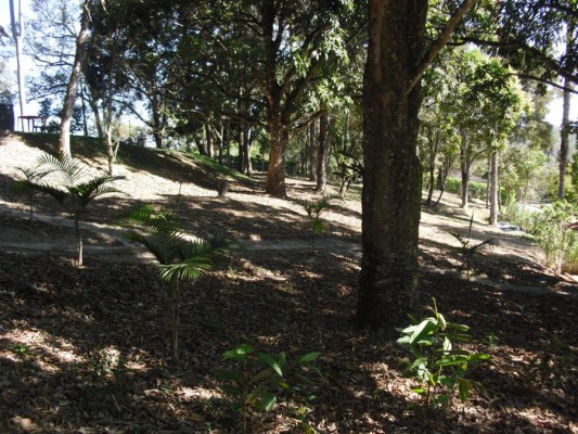 2012 - Fazenda Vale Verde — foto 26
