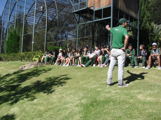 2012 - Fazenda Vale Verde — foto 28