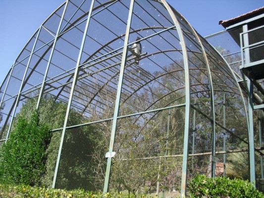 2012 - Fazenda Vale Verde — foto 30