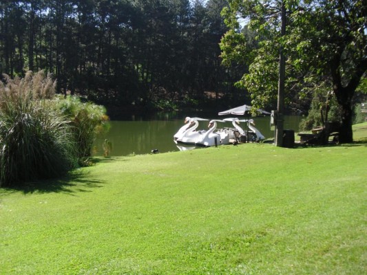 2012 - Fazenda Vale Verde — foto 31