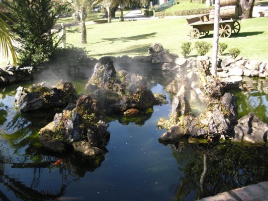 2012 - Fazenda Vale Verde — foto 32