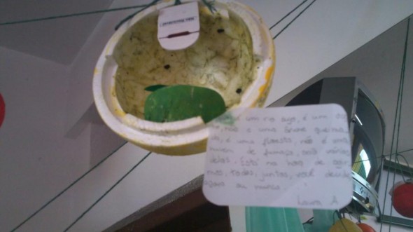2012 - Frutas Mágicas para Reflorestar o Homem — foto 6