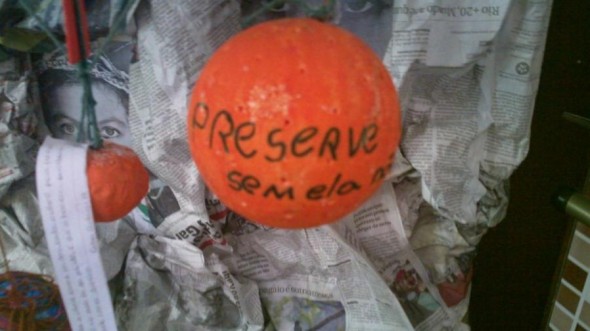 2012 - Frutas Mágicas para Reflorestar o Homem — foto 7