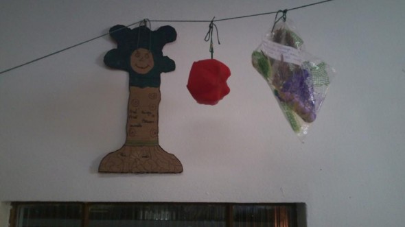 2012 - Frutas Mágicas para Reflorestar o Homem — foto 8