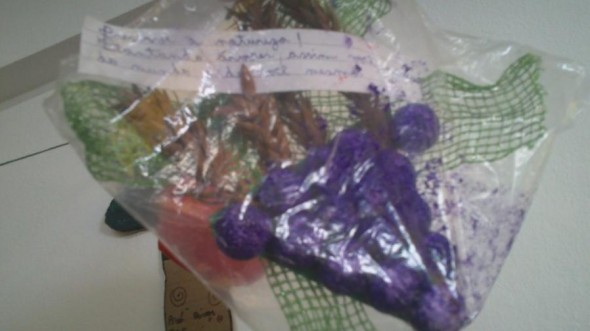 2012 - Frutas Mágicas para Reflorestar o Homem — foto 9