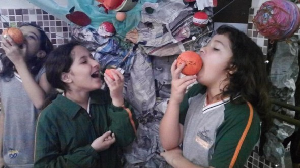 2012 - Frutas Mágicas para Reflorestar o Homem — foto 14