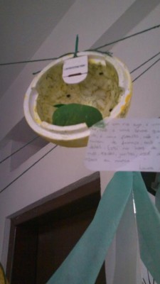 2012 - Frutas Mágicas para Reflorestar o Homem — foto 23