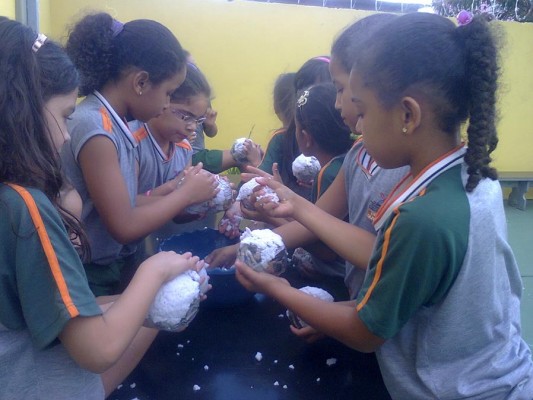 2013 - O Nosso Planeta - Prof- Rosa — foto 12